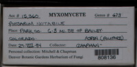 Image Associated With the Occurence